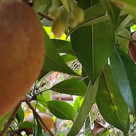 Vivaresidence Homestay Alappuzha ภายนอก รูปภาพ
