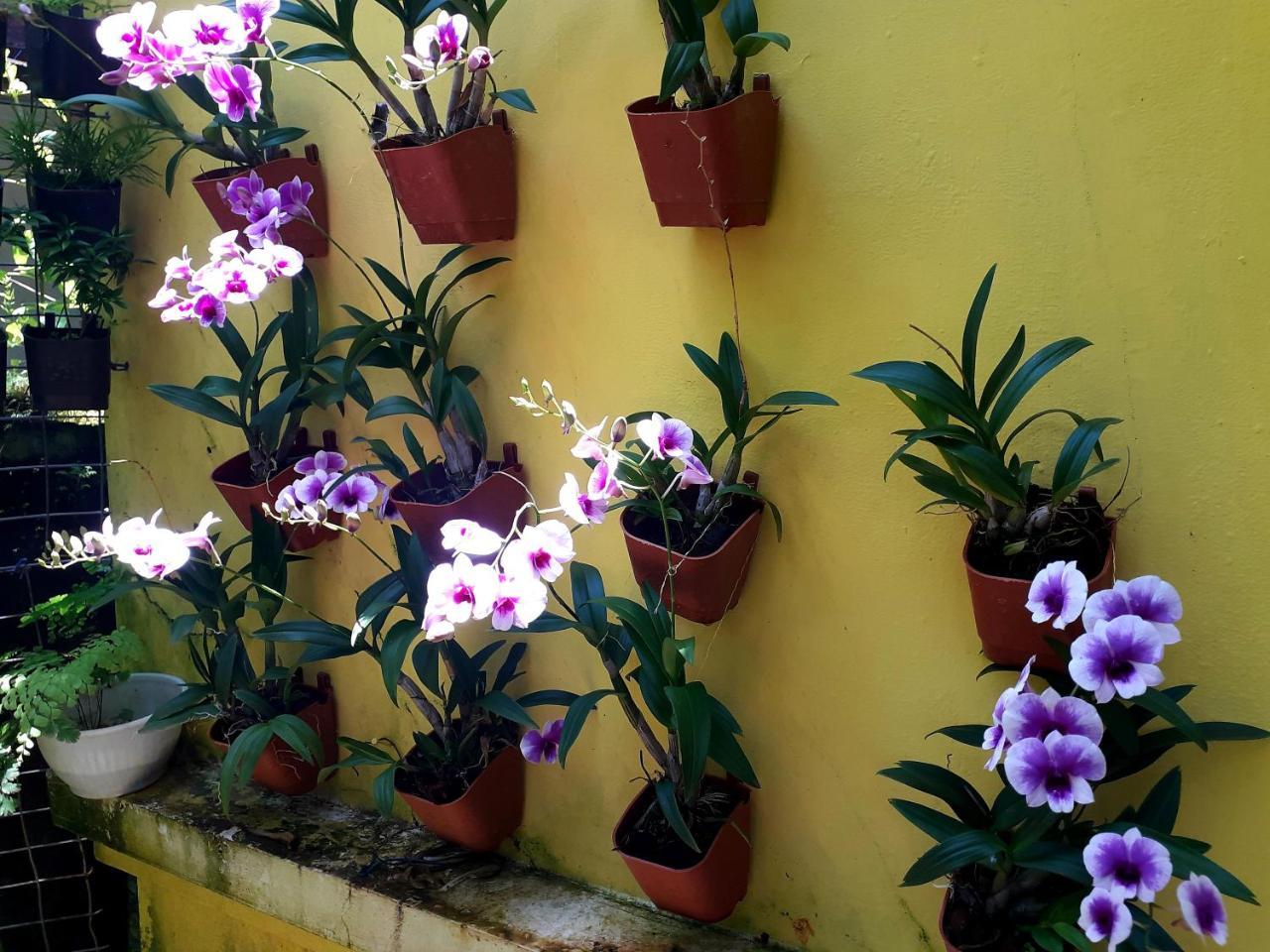 Vivaresidence Homestay Alappuzha ภายนอก รูปภาพ